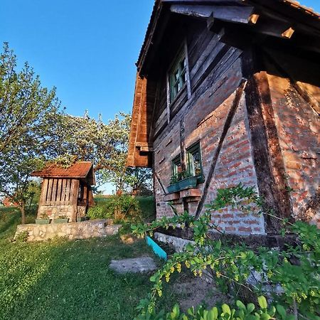 Villa Chalet Belino Sokace à Užice Extérieur photo