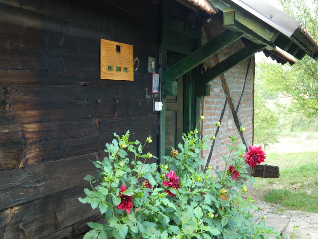 Villa Chalet Belino Sokace à Užice Extérieur photo