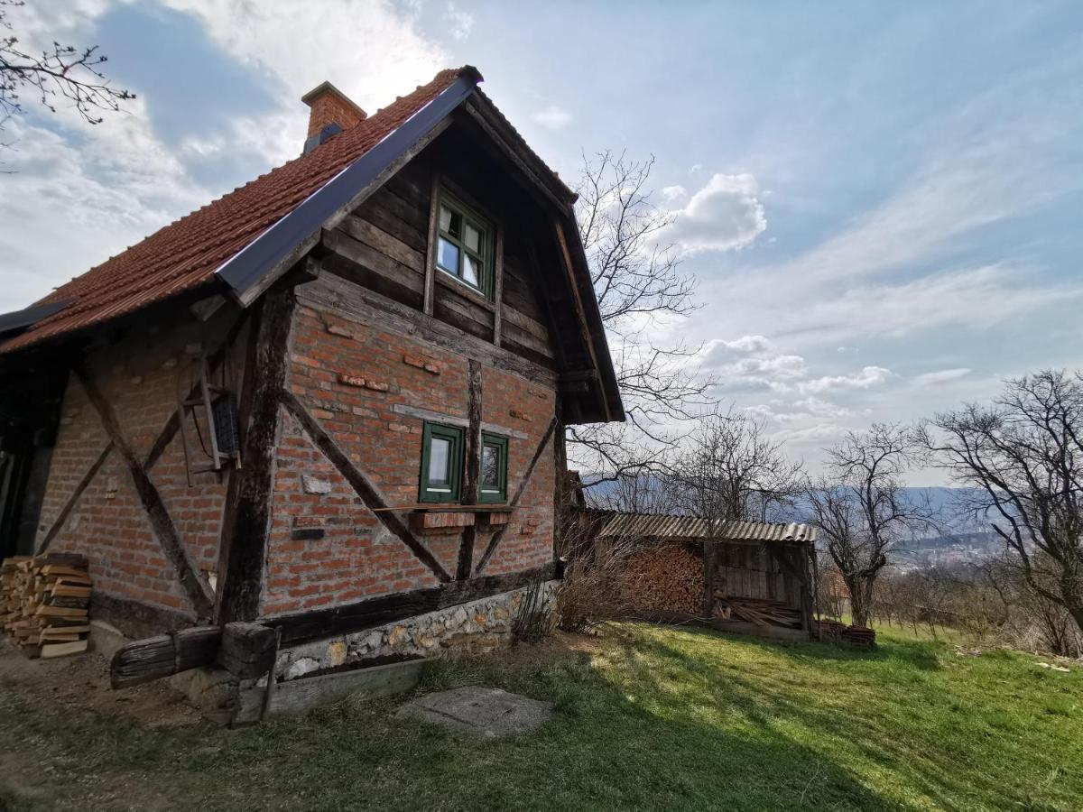 Villa Chalet Belino Sokace à Užice Extérieur photo