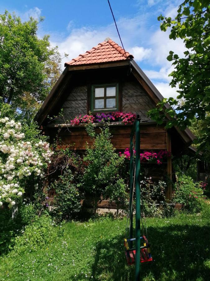 Villa Chalet Belino Sokace à Užice Extérieur photo